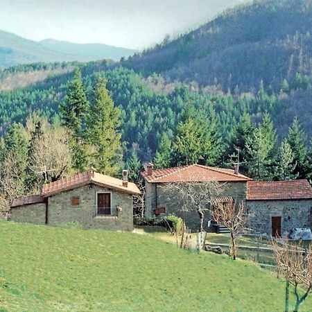 Comfortable House In Bibbiena + Pool 외부 사진