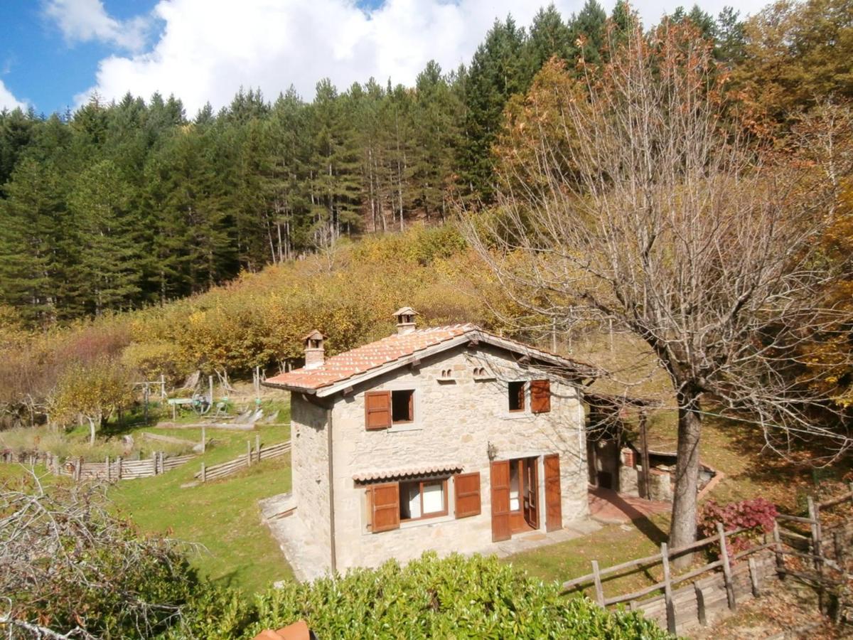 Comfortable House In Bibbiena + Pool 외부 사진