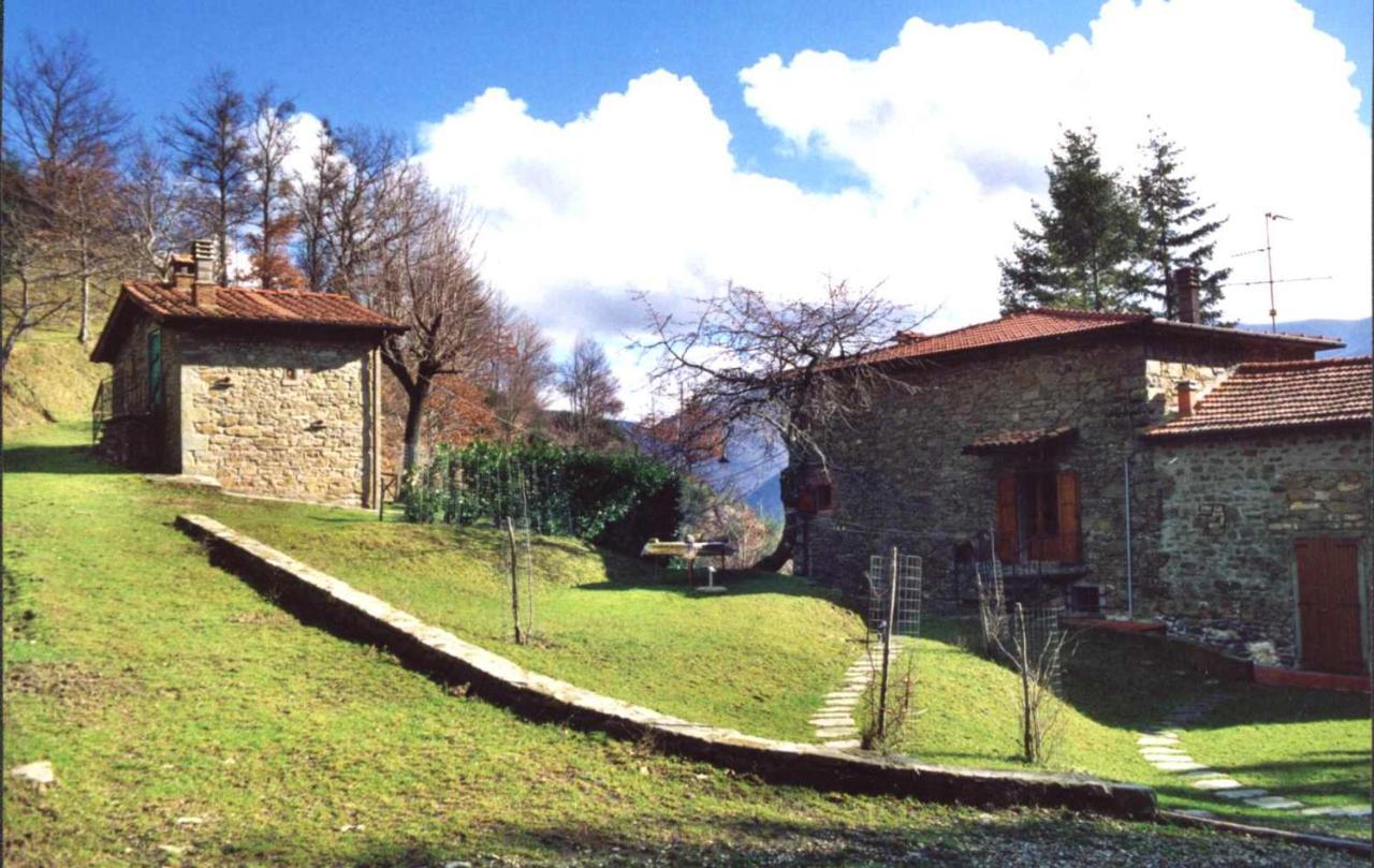 Comfortable House In Bibbiena + Pool 외부 사진