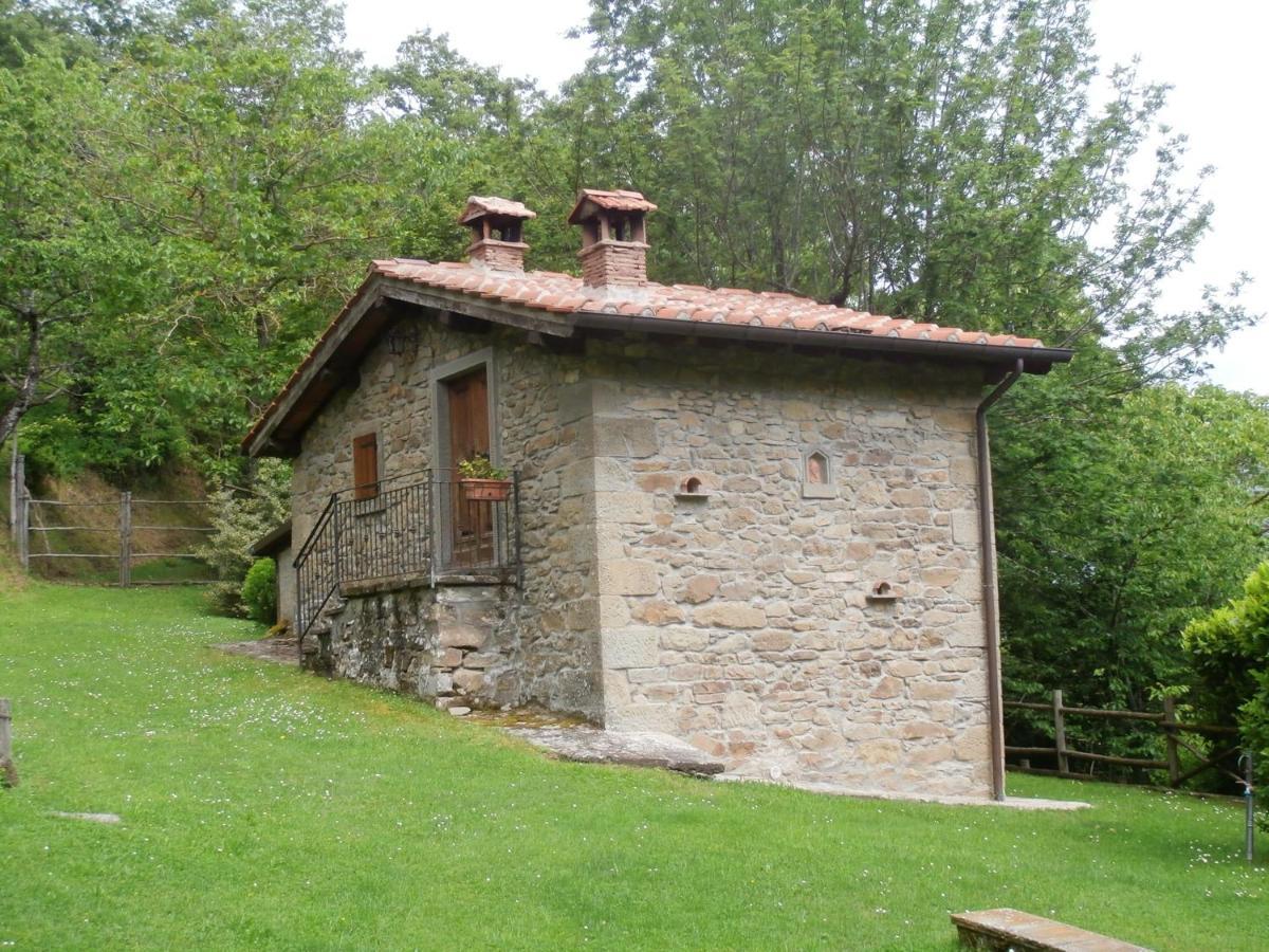 Comfortable House In Bibbiena + Pool 외부 사진