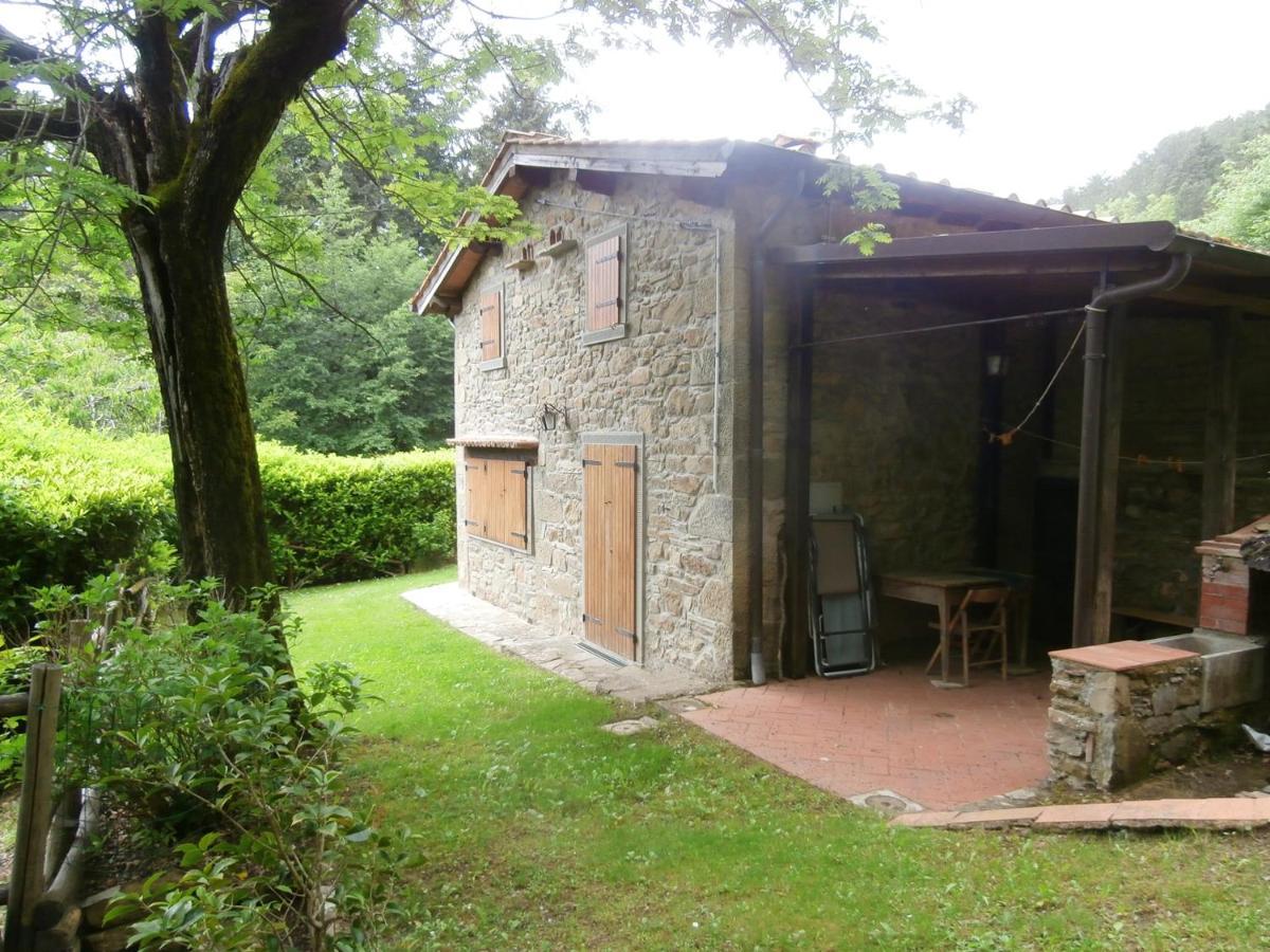 Comfortable House In Bibbiena + Pool 외부 사진
