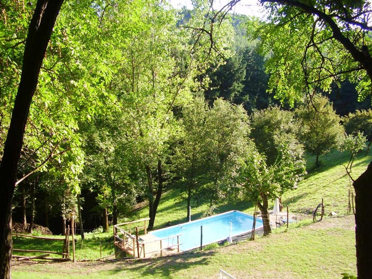 Comfortable House In Bibbiena + Pool 외부 사진