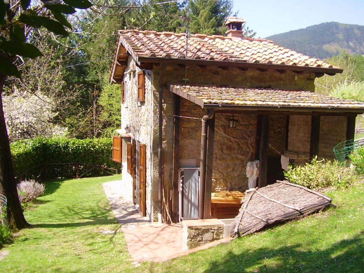 Comfortable House In Bibbiena + Pool 외부 사진