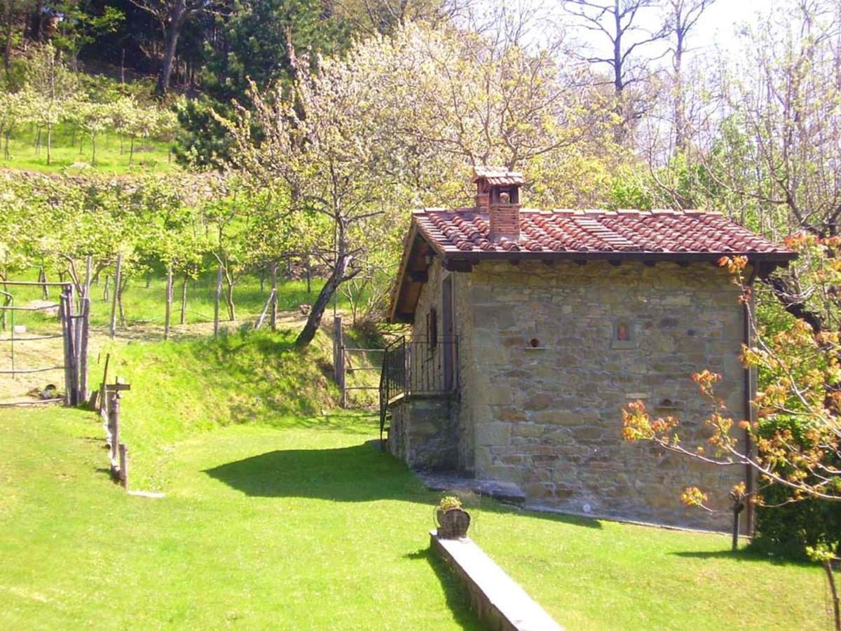 Comfortable House In Bibbiena + Pool 외부 사진