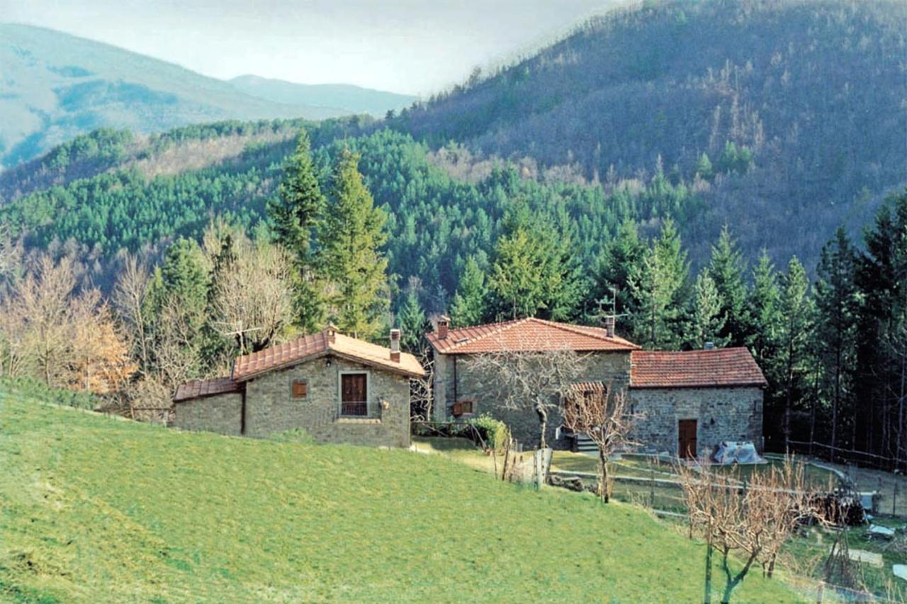 Comfortable House In Bibbiena + Pool 외부 사진